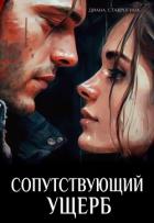Сопутствующий ущерб (СИ) - Ставрогина Диана