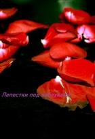 Лепестки под каблуками (СИ) - "Awelina"