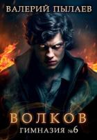 Волков. Гимназия №6 (СИ) - Пылаев Валерий