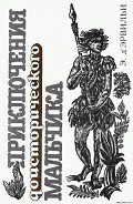 Приключения доисторического мальчика - д'Эрвильи Э.
