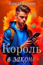 Real-RPG Король в законе (СИ) - Калинин Алексей