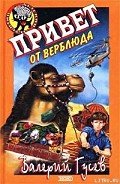 Привет от верблюда - Гусев Валерий Борисович