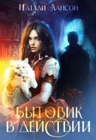 Бытовик в действии (СИ) - Лансон Натали
