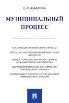 Муниципальный процесс - Забелина Е.