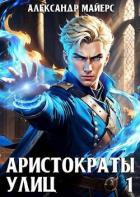 Аристократы улиц (СИ) - Майерс Александр