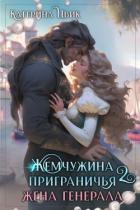 Жена генерала (СИ) - Цвик Катерина Александровна