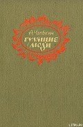 Гулящие люди - Чапыгин Алексей Павлович