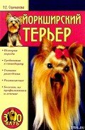 Йоркширский терьер - Стрекалова Эльвира Евгеньевна
