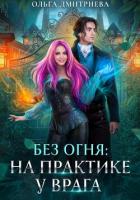 На практике у врага - Дмитриева Ольга