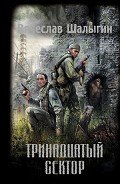 Тринадцатый сектор - Шалыгин Вячеслав Владимирович