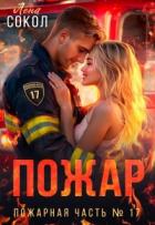 Пожар (СИ) - Сокол Елена