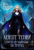 Адепт теней. (Не)случайная встреча (СИ) - Кульгильдина Римма
