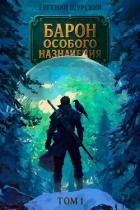 Барон особого назначения (СИ) - Щурский Евгений