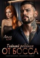 Тайный ребёнок от Босса (СИ) - Лэнг Лили