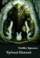 Чудный Нижний - Курилкин Матвей Геннадьевич