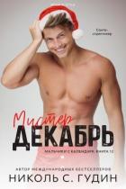 Мистер Декабрь (ЛП) - Гудин Николь С.
