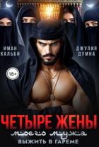 Четыре жены моего мужа. Выжить в гареме (СИ) - Кальби Иман