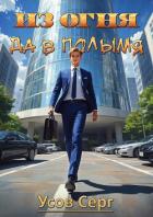 Из огня да в полымя (СИ) - Усов Серг