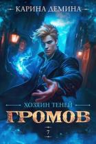Громов. Хозяин теней. 7 (СИ) - Демина Карина