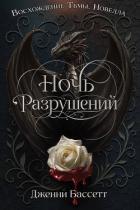 Ночь разрушений (ЛП) - Бассетт Дженни