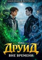 Друид. Вне времени (СИ) - Молотов Виктор