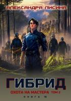 Гибрид. Книга 15. Охота на мастера. Том 2 - Лисина Александра
