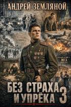 Без страха и упрёка 3 (СИ) - Земляной Андрей Борисович