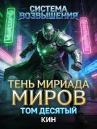 Тень Мириада Миров (СИ) - Раздоров Николай "Кин"