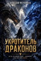 Укротитель Драконов V (СИ) - Мечников Ярослав