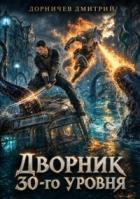 Дворник 30-го уровня. Том 11 (СИ) - Дорничев Дмитрий