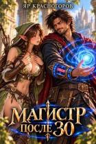 Магистр после 30 (СИ) - Красногоров Ян
